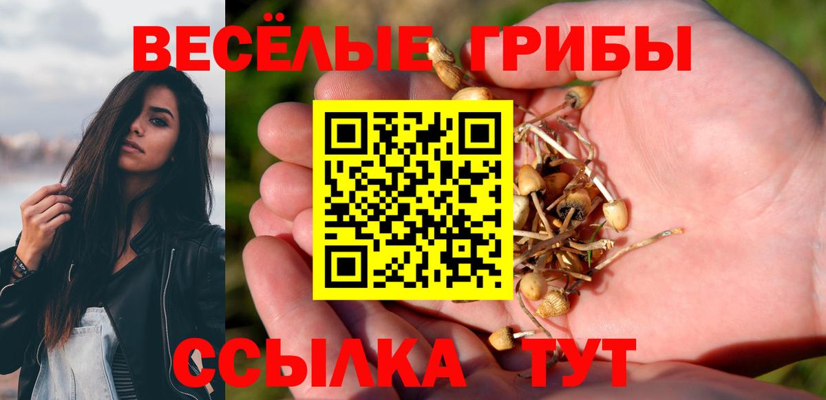 Галлюциногенные грибы Psilocybine cubensis Котовск