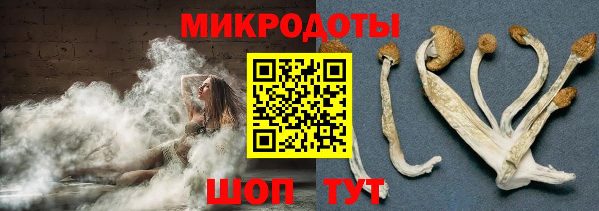 Псилоцибиновые грибы GOLDEN TEACHER  Галлюциногенные грибы ЛСД  Котовск  Вход с VPN 